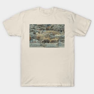 BC Garden No.2 T-Shirt